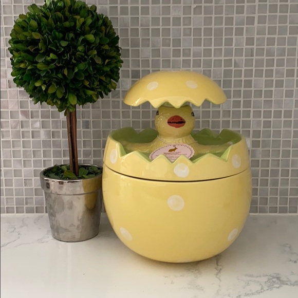Home Essentials Other - Home essentials new chick cookie jar